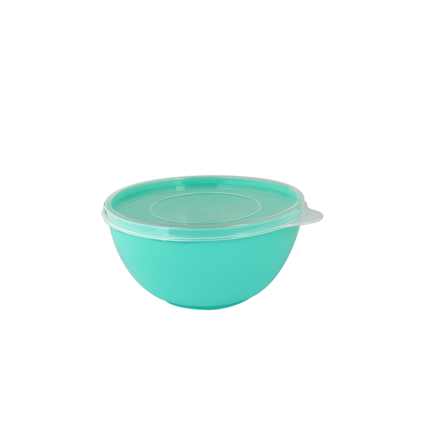 Bowl Plástico Pequeño Verde Pastel BWB