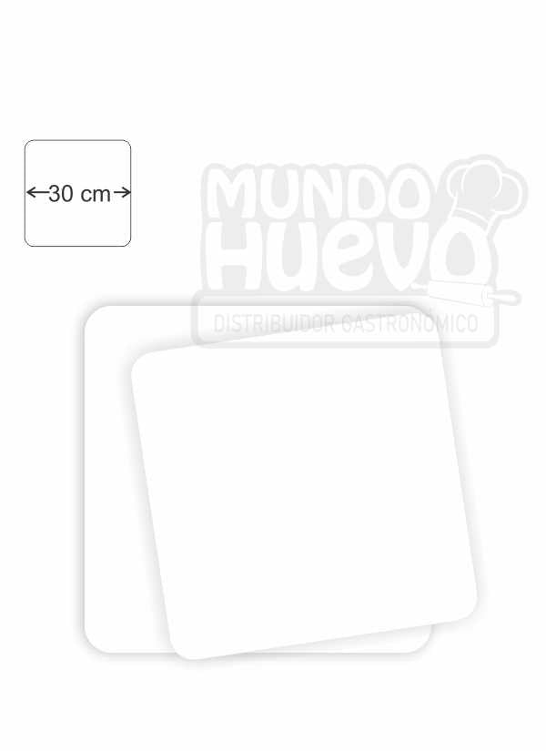 Base Cuadrada N°30 x 20 Und