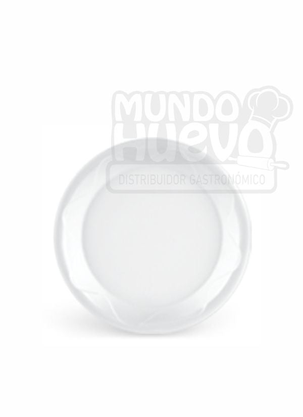 Plato Pando 26 cm X 20 Unds